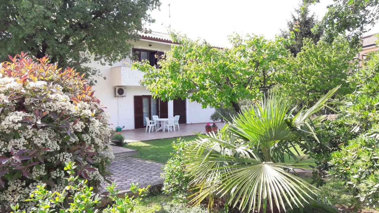 Apartments Nina, Pinta & Santa Maria Nova Vas  Luaran gambar